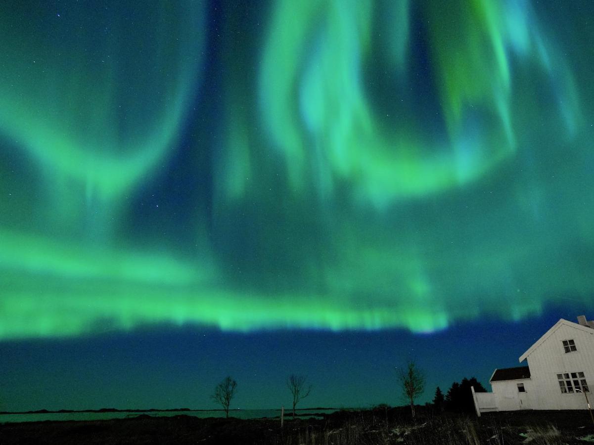 Lofoten Troll View Bostad Bagian luar foto